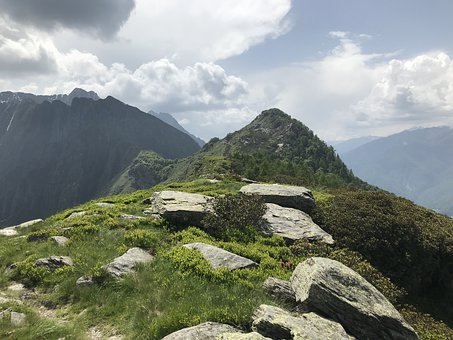 �������LҪ���ú��ӌW�������