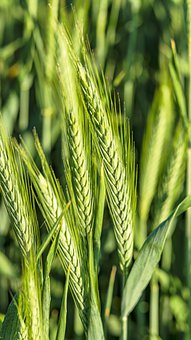 家長要學會關(guān)注孩子的心理健康