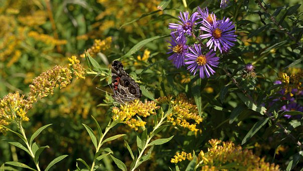 ��������Ů�������ڵķ���