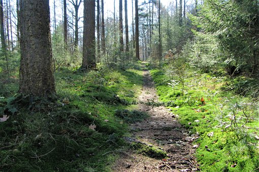 ���ӵ����������Ľ��h