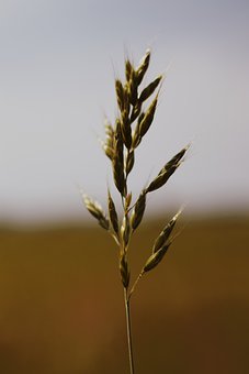 �������W�_���A�Ώ������ԣ��м�äĿ���}