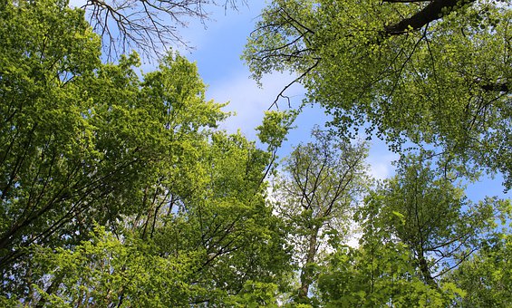 ��������W(xu��)������ô�k