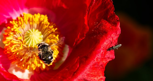 Ӣ�Z���ģ���������Լ��� �ɹ������E�䌍������W