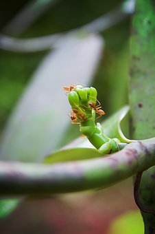 ���������xδ���߿� ���෽λ���Ӵ��u�r�wϵ