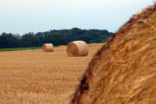 九個秘訣讓你做孩子喜歡的父母