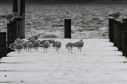 ��һ�W(xu��)����ĩ���֙C(j��)���}�Ľ�Q����