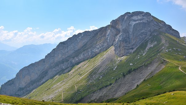二年級的孩子說謊該怎樣教育最好