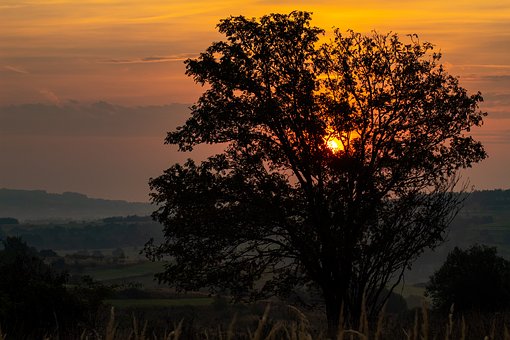 �����ǷN�������I���e�ĺ�����ô����