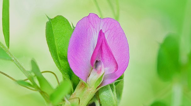 青春期孩子的脾氣問題與教育方法