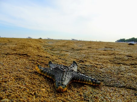 �z�W����IT����׷���I��·�Ŀ�����