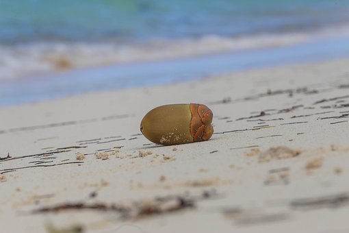 青少年叛逆期如何教育