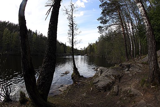 家長離婚孩子怎么辦