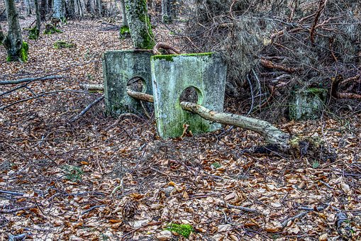 ��Ύ����������ӿ˷��όW�����y