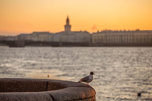 ���L��ξ��⺢�ӵą��W(xu��)��w