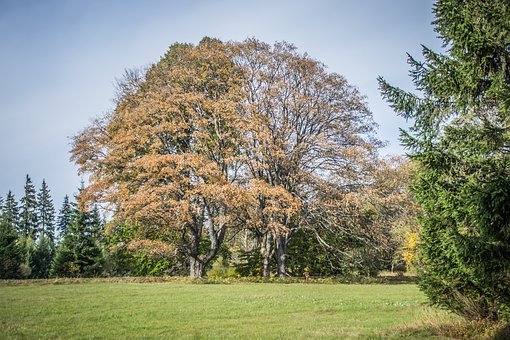 ���غ��ӵ�˼�룬���o��������Ҫ��