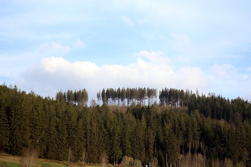 雅思口語(yǔ)考試備考:抓住基本考點(diǎn) 用心準(zhǔn)備