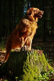 學(xué)生沉迷游戲怎么辦