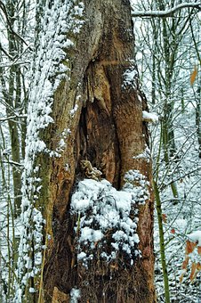 孩子在學校不聽話該怎么教育