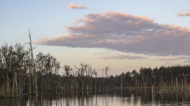 �����ĺ��Ӳ� Ԓ���L��ô�k