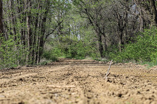 ���꼉���Ӳ�Ը�όW�����ڼ���ô�k