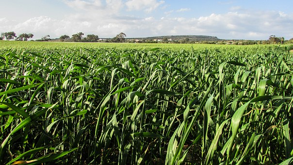 �A�������߿��֔��� ����560���Ŀ�535��