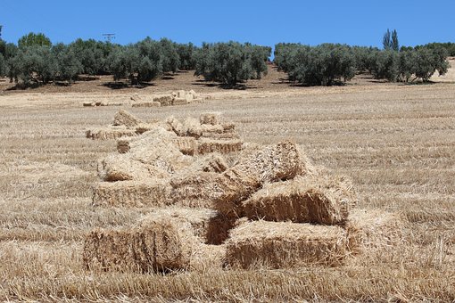 叛逆期不想去學校咋辦