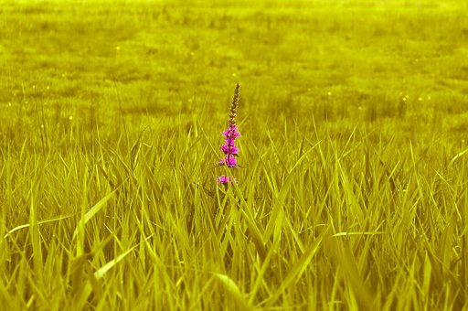 備戰2013中考不可缺少的四點關鍵復習策略