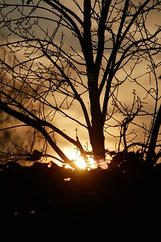 ���B���ӌW���dȤ�����������ӵ��Ա���