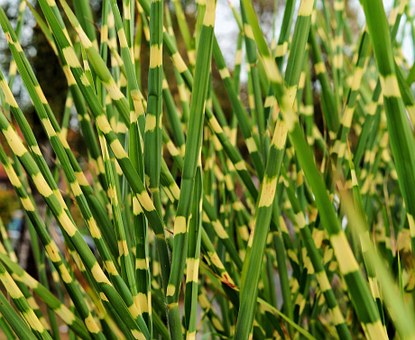 家長課堂:教孩子自我保護五要點