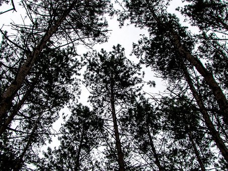 �����ɿ����e�����½�