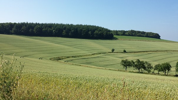 心理輔導:中考失利后如何調整心態
1f66