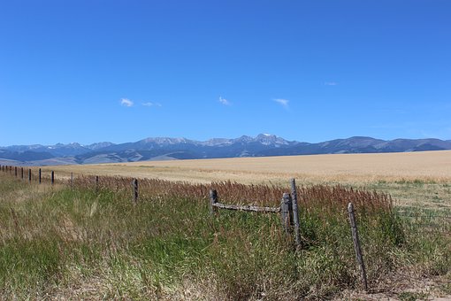 �����{Ƥ��ô�k