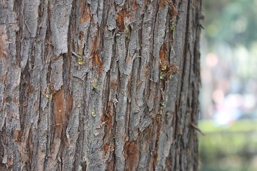 С�������ڷǳ����ز����όW��ô�k