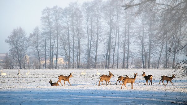 �������ӌW���������ӣ������������ӣ��������_�Đ����^