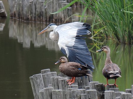 ���꼉С�W(xu��)�����W(xu��)��ô�k