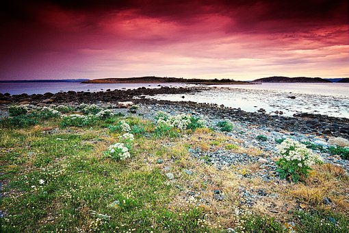 二年級孩子叛逆期怎么管教最合適