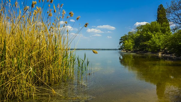 �ഺ�ں����x�ҳ��ߵĽ�������