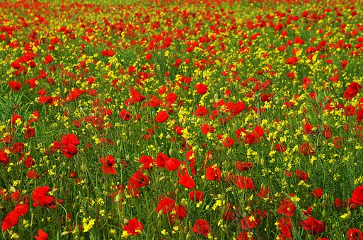 12�qС�������Α���ô�k