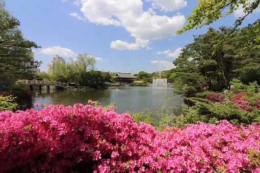 小學(xué)作文指導(dǎo):作文頭尾用語(yǔ)