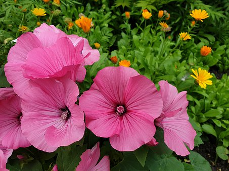 ���L��ο����Д�ҽ��ώ��m���m���Լ��ĺ�����