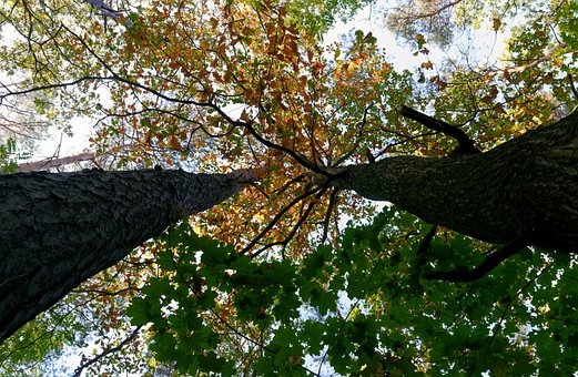 Ů����ʮ�ߚqՄ�ِ�������