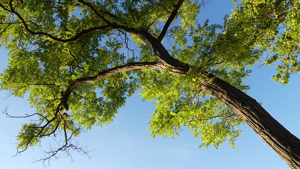 �ഺ�ڵĺ��Ӆ��W��˯��ô�k