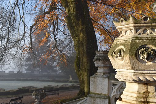 ��ΌW(xu��)�ø��Д�(sh��)�W(xu��)