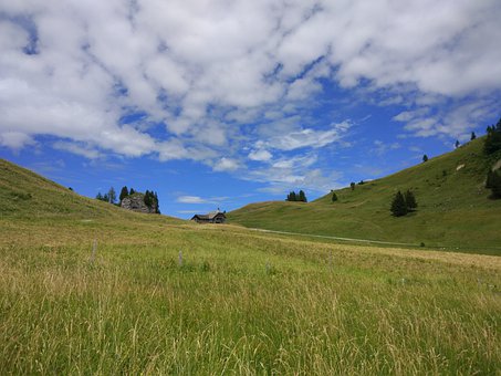 盤點(diǎn)就業(yè)前景最看好10大綠牌專業(yè)