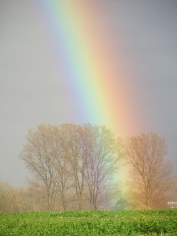 小學六年級孩子打架怎么辦