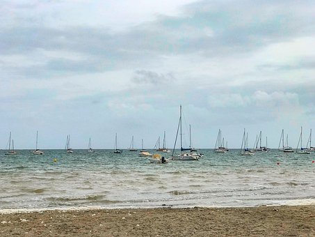 �ƌW(xu��)������������Q���Ӳ� Ԓ���淴�Ć��}