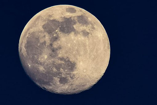 孩子沉迷手機(jī)不寫(xiě)作業(yè)怎么辦