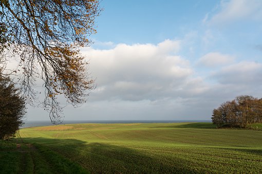 孩子幾歲叛逆期怎么管教最合適男孩