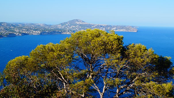 ���Lע�غ������������и�