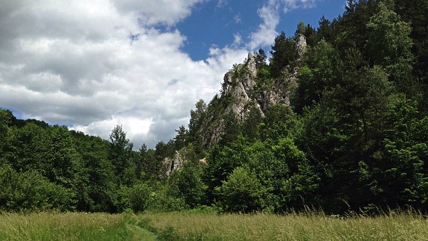 ���L(zh��ng)��(y��ng)ԓ����ƽ���Ŀ������ӵĳɿ�(j��)